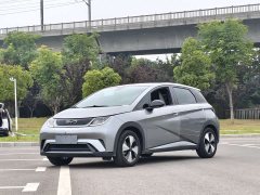 BYD Dolphin 420km Fashion Edition - ფოტო 1