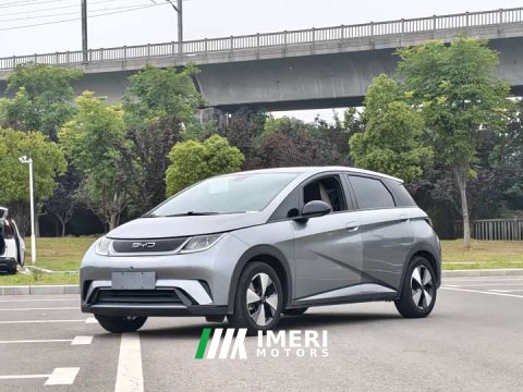 2023 BYD Dolphin 420km Fashion Edition - ავტომობილი ჩინეთიდან