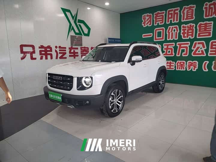 Great Wall Haval Big Dog Dachshund 1.5T DCT Two-Wheel Drive Border Collie-Wangcai Edition