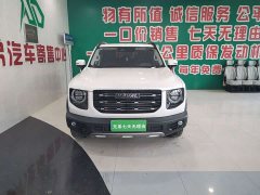 Great Wall Haval Big Dog Dachshund 2021 1.5T DCT Two-Wheel Drive Border Collie-Wangcai Edition - ფოტო 3