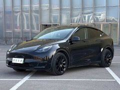 Tesla Model Y 2021 Standard Range RWD - ფოტო 1