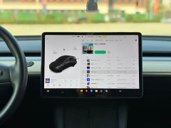 Tesla Model Y 2021 Standard Range RWD - ფოტო 11