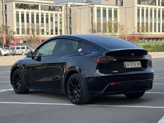 Tesla Model Y 2021 Standard Range RWD - ფოტო 6