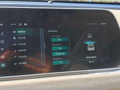 ORA Good Cat 2023 401km Standard Range Deluxe Edition LFP Battery - ფოტო 16