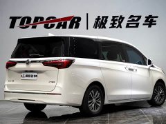 Buick GL8 ES Luxe Enjoyment Edition - ფოტო 3