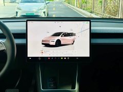 Tesla Model Y Rear-Wheel Drive - ფოტო 16