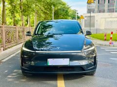 Tesla Model Y Rear-Wheel Drive - ფოტო 2