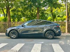 Tesla Model Y Rear-Wheel Drive - ფოტო 3