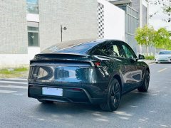 Tesla Model Y Rear-Wheel Drive - ფოტო 6