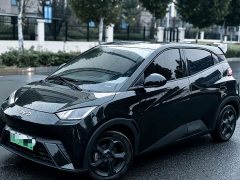 BYD Seagull 2023 Vitality Edition - ფოტო 1
