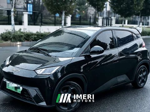 2024 BYD Seagull 2023 Vitality Edition - ავტომობილი ჩინეთიდან