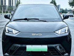 BYD Seagull 2023 Vitality Edition - ფოტო 2