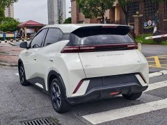 BYD Seagull Glory Edition 305km Freedom Version - ფოტო 13