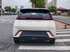 BYD Seagull Glory Edition 305km Freedom Version - ფოტო 14