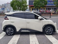 BYD Seagull Glory Edition 305km Freedom Version - ფოტო 15