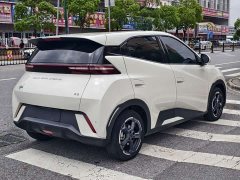 BYD Seagull Glory Edition 305km Freedom Version - ფოტო 16