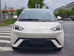 BYD Seagull Glory Edition 305km Freedom Version - ფოტო 2