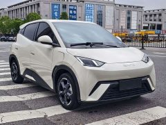 BYD Seagull Glory Edition 305km Freedom Version - ფოტო 3