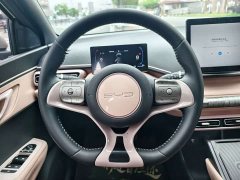 BYD Seagull Glory Edition 305km Freedom Version - ფოტო 6
