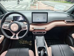 BYD Seagull Glory Edition 305km Freedom Version - ფოტო 9