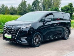 Denza D9 2022 DM-i 970 AWD Flagship - ფოტო 1