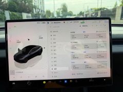 Tesla Model 3 2023 Rear-Wheel Drive - ფოტო 11