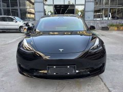 Tesla Model 3 Rear-Wheel Drive - ფოტო 2
