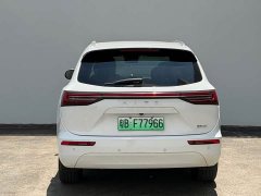 AITO Wenjie M7 2022 1.5T AWD Flagship - ფოტო 13