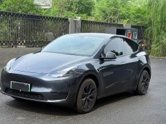 Tesla Model Y Rear-Wheel Drive - ფოტო 1