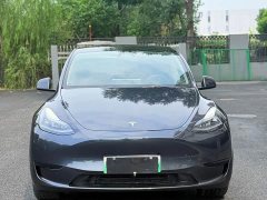Tesla Model Y Rear-Wheel Drive - ფოტო 2