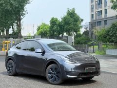 Tesla Model Y Rear-Wheel Drive - ფოტო 3