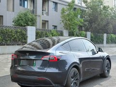 Tesla Model Y Rear-Wheel Drive - ფოტო 9