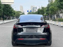 Tesla Model Y 2022 Facelift Rear-Wheel Drive - ფოტო 13