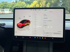 Tesla Model Y Rear-Wheel Drive - ფოტო 10