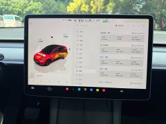 Tesla Model Y Rear-Wheel Drive - ფოტო 11