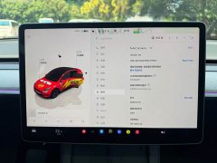 Tesla Model Y Rear-Wheel Drive - ფოტო 9
