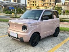 Geely Panda Mini 200km Endurance Edition - ფოტო 1