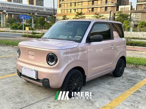 2023 Geely Panda Mini 200km Endurance Edition - ავტომობილი ჩინეთიდან