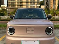 Geely Panda Mini 200km Endurance Edition - ფოტო 2