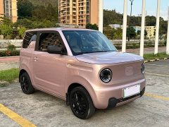 Geely Panda Mini 200km Endurance Edition - ფოტო 3