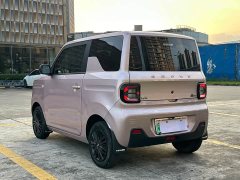 Geely Panda Mini 200km Endurance Edition - ფოტო 7