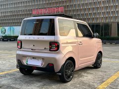 Geely Panda Mini 200km Endurance Edition - ფოტო 9