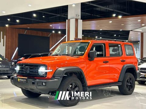 2025 Tank 300 2.0T Gasoline Conqueror - ავტომობილი ჩინეთიდან