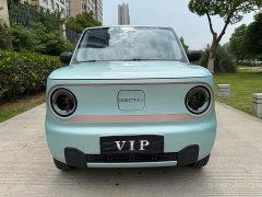 Geely Panda Mini 200km Endurance Edition - ფოტო 1