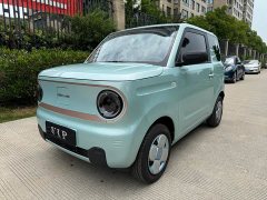 Geely Panda Mini 200km Endurance Edition - ფოტო 2