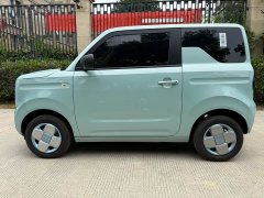 Geely Panda Mini 200km Endurance Edition - ფოტო 3