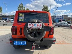 Tank 300 Off-Road Edition 2.0T Conqueror - ფოტო 3