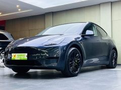 Tesla Model Y Rear-Wheel Drive - ფოტო 1