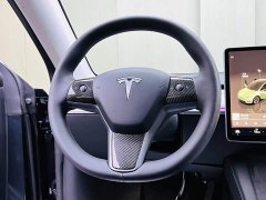 Tesla Model Y Rear-Wheel Drive - ფოტო 10