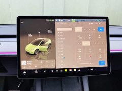 Tesla Model Y Rear-Wheel Drive - ფოტო 13